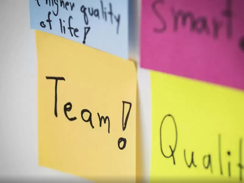 Examples of Team Objectives for Different Teams 
