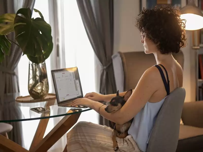 Future of Remote Work: How to Optimizing Remote Working