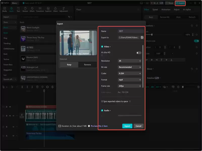 Preview, Export, and Share