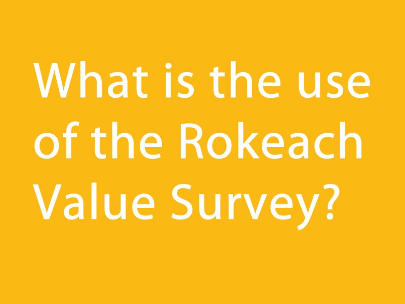 What is the use of the Rokeach Value Survey?