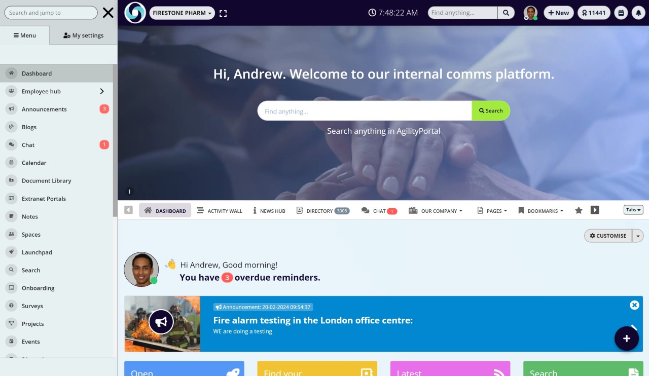 What is an Intranet
