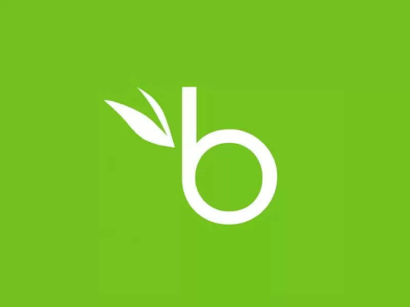 BambooHR