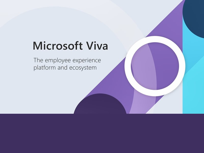 Microsoft Viva review - pros, cons, and alternatives