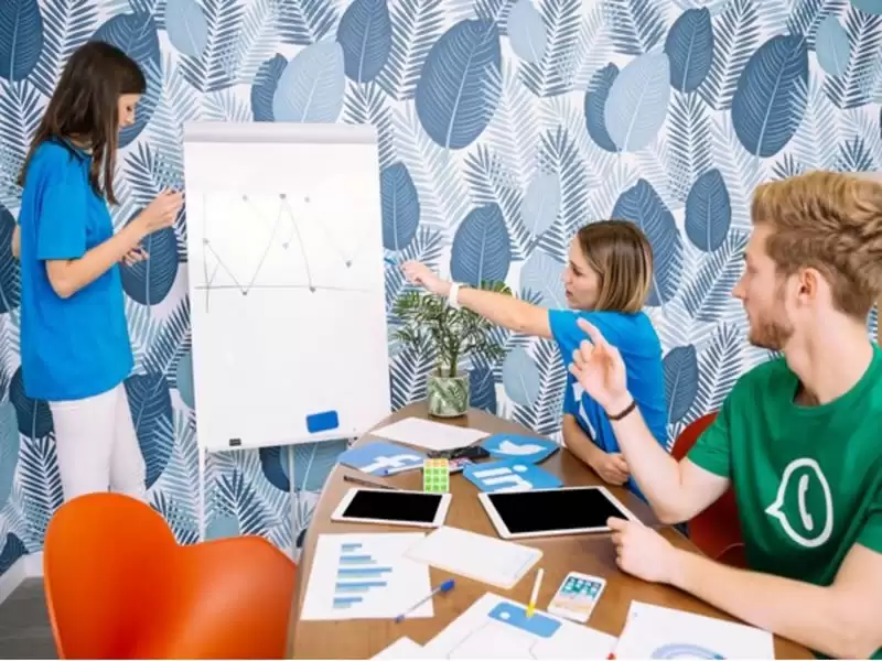 Promote communication and collaboration