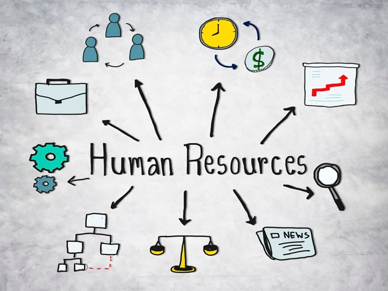 Building a comprehensive HR strategy