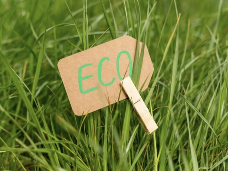 How Can Businesses Reduce Their Carbon Footprint