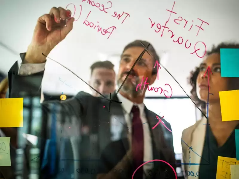 DEI Strategy Examples