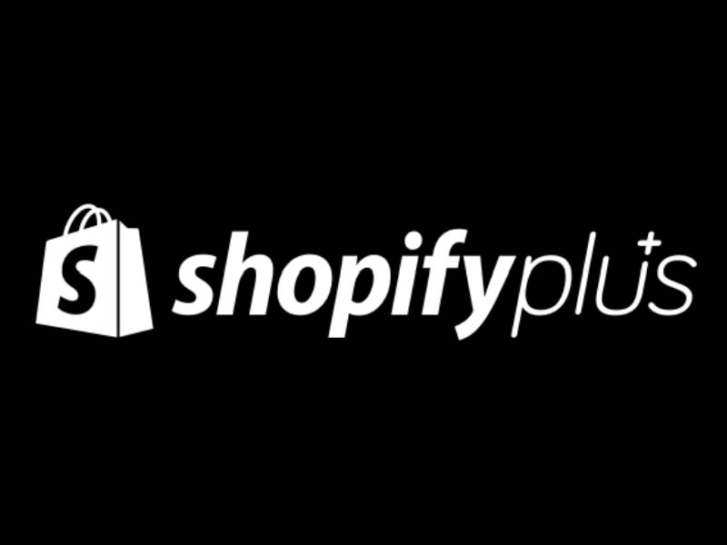 How Does Shopify Plus Work
