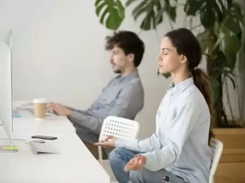 Exploring the Influence of a Positive Workplace on Employee Well-being
